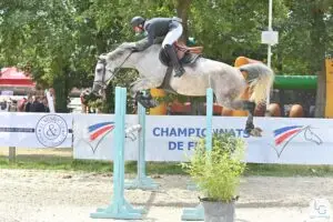 Nicolas Tuffet et Francofolie du Puy