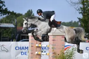 Nicolas Tuffet et Francofolie du Puy