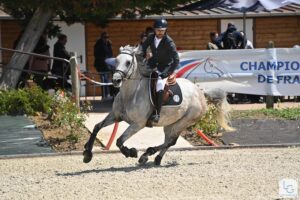 Nicolas Tuffet et Francofolie du Puy