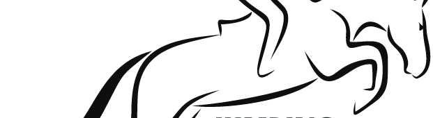 Logo Jumping Découverte