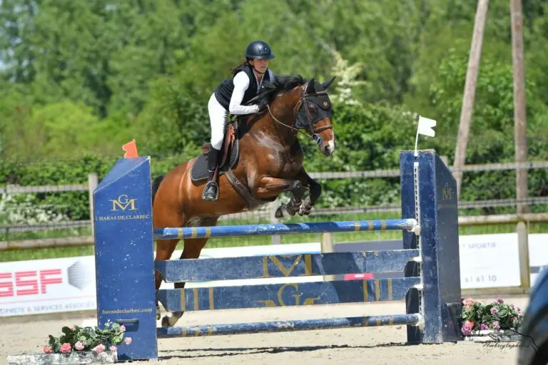 Aurore et Golden Boy - Les Herbiers