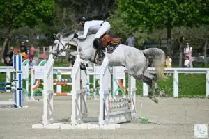 Nicolas Tuffet et Francofolie du Puy au Lion d'Angers