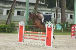 Aurore et Golden Boy - CSI Royan Juin 2024