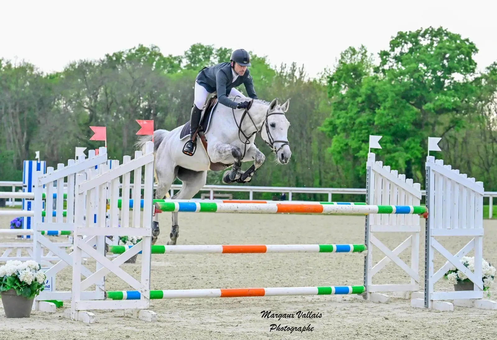You are currently viewing Début de Saison 2025 Prometteur pour Jumping Découverte
