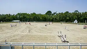 Lion Angers - carrière Le Pontet