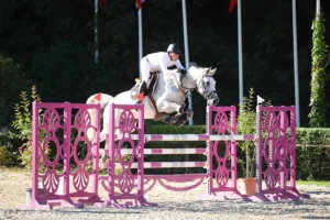 Lire la suite à propos de l’article Rétrospective 2025