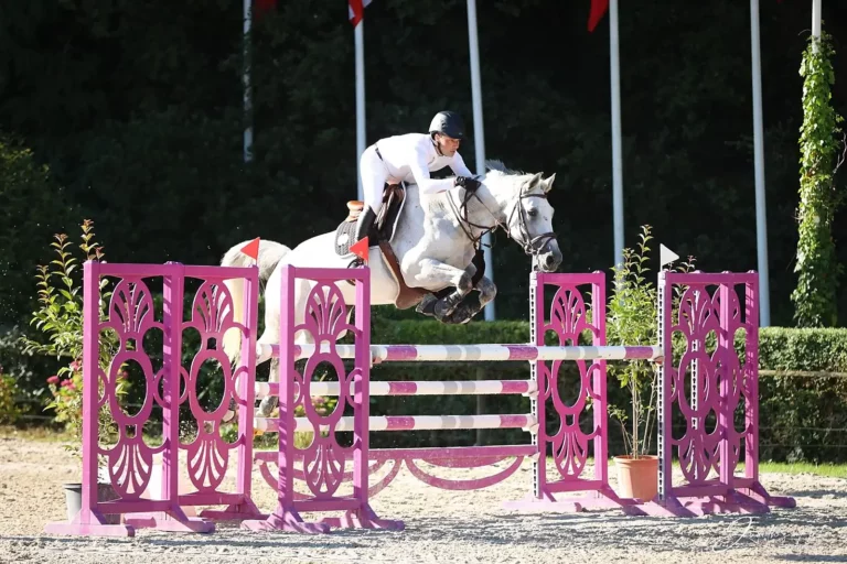 Lire la suite à propos de l’article Rétrospective 2025