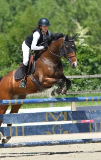 Aurore et Golden Boy – Les Herbiers Aurore et Golden Boy - Les Herbiers